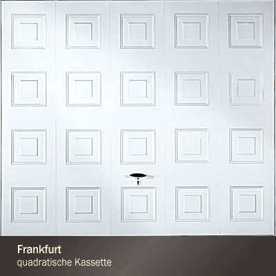 Kassettenoptik Schwingtor Frankfurt